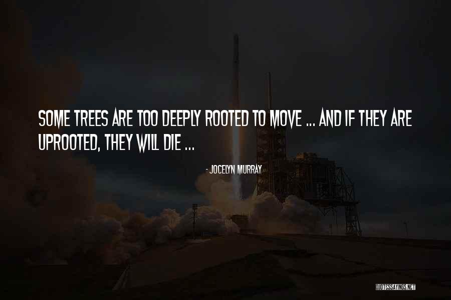 Haljina Iluzija Quotes By Jocelyn Murray Haljina Iluzija Quotes By Jocelyn Murray