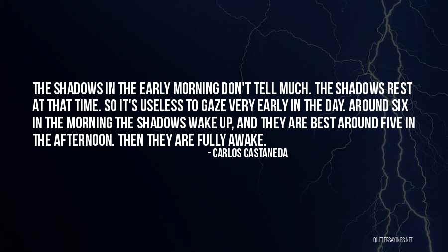 Halkitis Quotes By Carlos Castaneda Halkitis Quotes By Carlos Castaneda