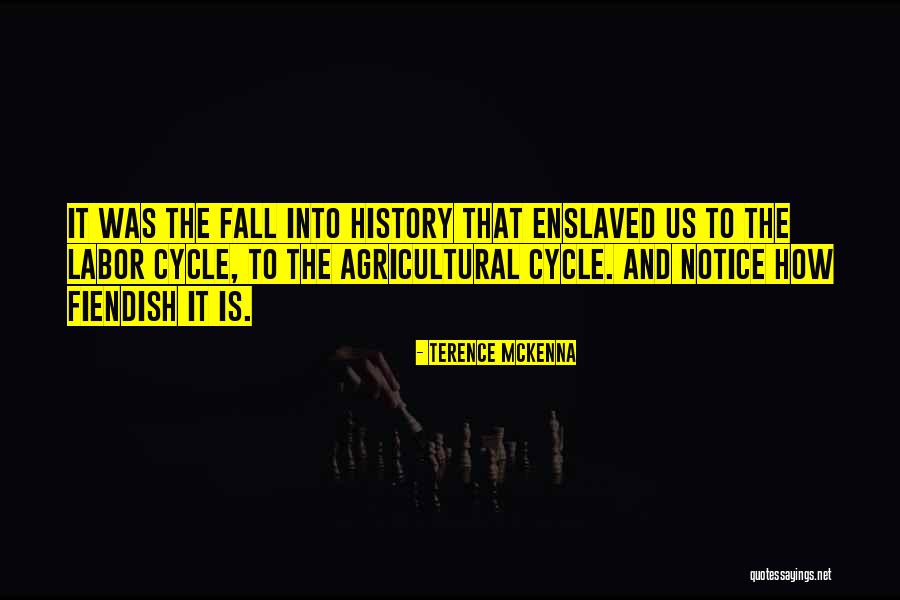 Hallaka Quotes By Terence McKenna Hallaka Quotes By Terence McKenna