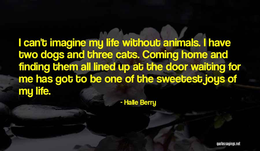 Halle Berry Quotes 1168615