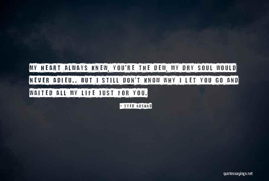 Halleh Seddighzadeh Quotes By Syed Arshad Halleh Seddighzadeh Quotes By Syed Arshad