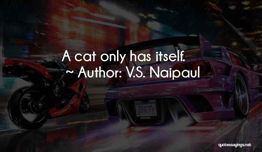 Hallmarkyoutubefreemovies Quotes By V.S. Naipaul