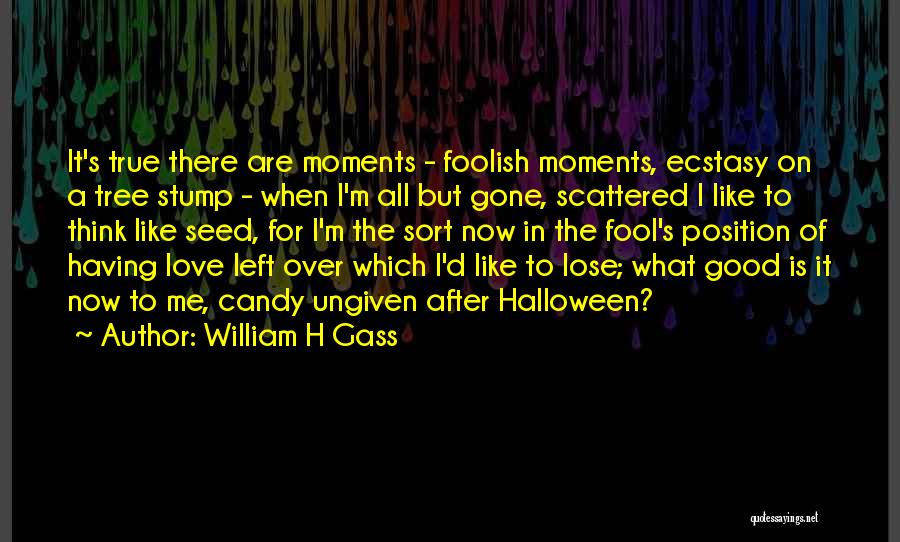 Halloween Candy Quotes By William H Gass