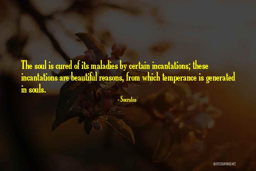 Hallucinatory Mushrooms Quotes By Socrates Hallucinatory Mushrooms Quotes By Socrates