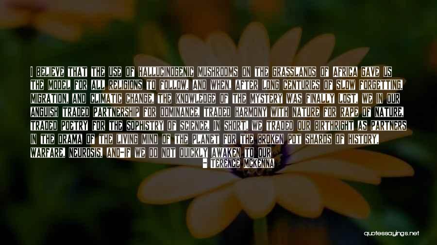 Hallucinogenic Mushrooms Quotes By Terence McKenna Hallucinogenic Mushrooms Quotes By Terence McKenna