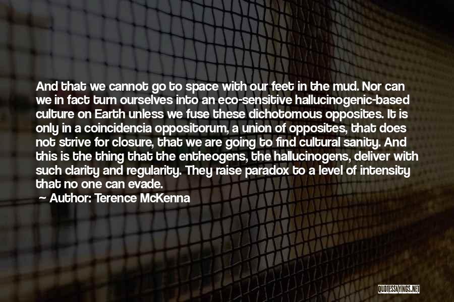 Hallucinogenic Quotes By Terence McKenna