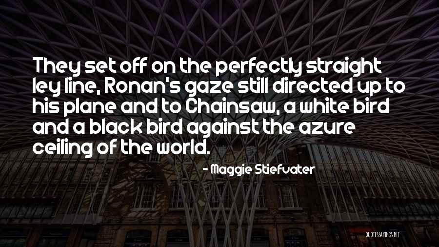 Halmozott Rt Kcs Kken S Quotes By Maggie Stiefvater Halmozott Rt Kcs Kken S Quotes By Maggie Stiefvater