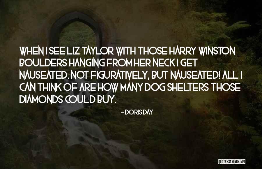 Halnieuwamsterdam Quotes By Doris Day Halnieuwamsterdam Quotes By Doris Day