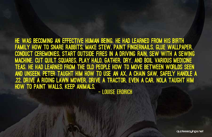 Halo 2 Best Quotes By Louise Erdrich Halo 2 Best Quotes By Louise Erdrich