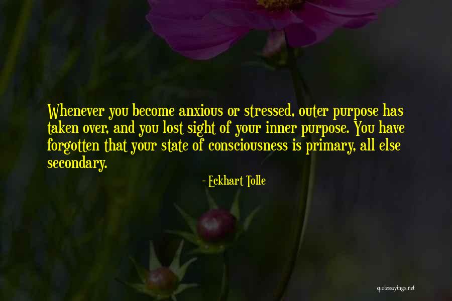 Halo Cryptum Quotes By Eckhart Tolle Halo Cryptum Quotes By Eckhart Tolle