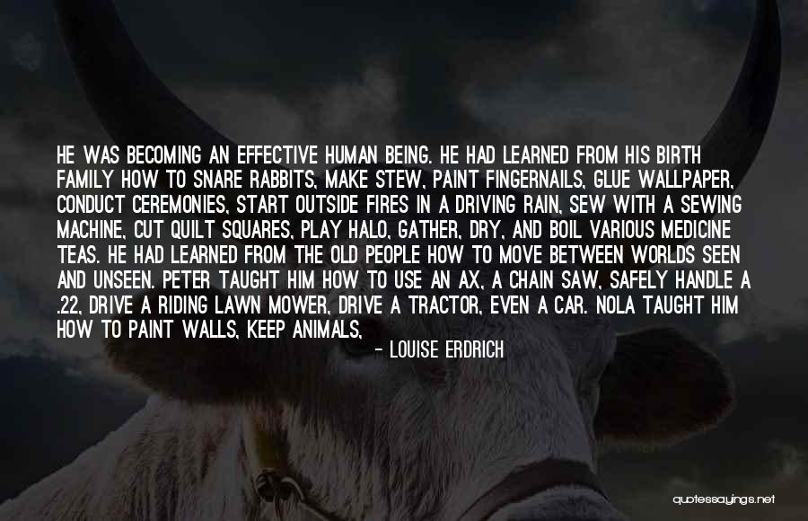Halo Quotes By Louise Erdrich Halo Quotes By Louise Erdrich