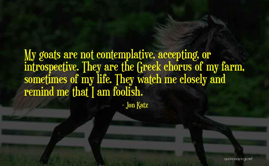 Halopka Tractors Quotes By Jon Katz Halopka Tractors Quotes By Jon Katz