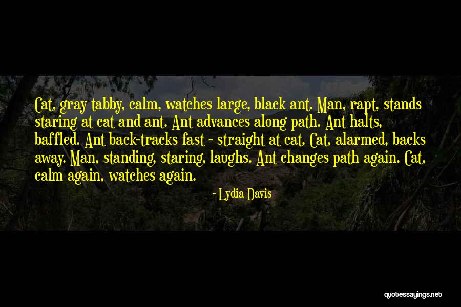 Halts Quotes By Lydia Davis Halts Quotes By Lydia Davis