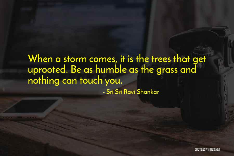 Halvey Energy Quotes By Sri Sri Ravi Shankar Halvey Energy Quotes By Sri Sri Ravi Shankar