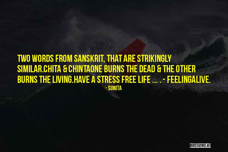 Hamblin Quotes By Sunita Hamblin Quotes By Sunita