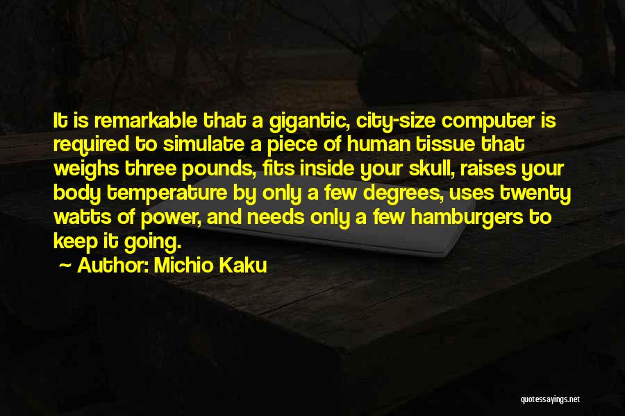 Hamburgers Quotes By Michio Kaku