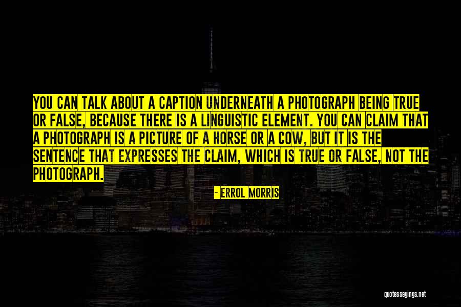 Hambye Et Patchwork Quotes By Errol Morris Hambye Et Patchwork Quotes By Errol Morris