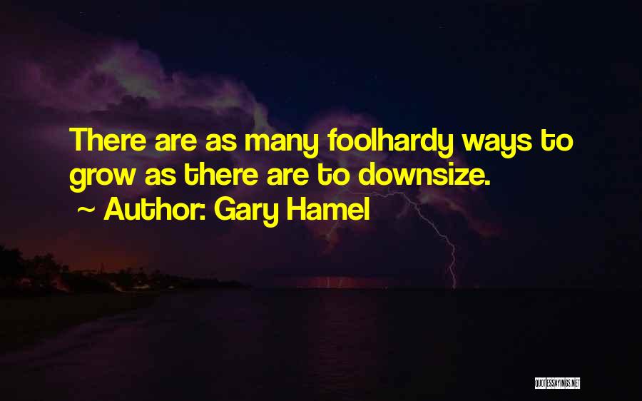 Hamel Quotes By Gary Hamel