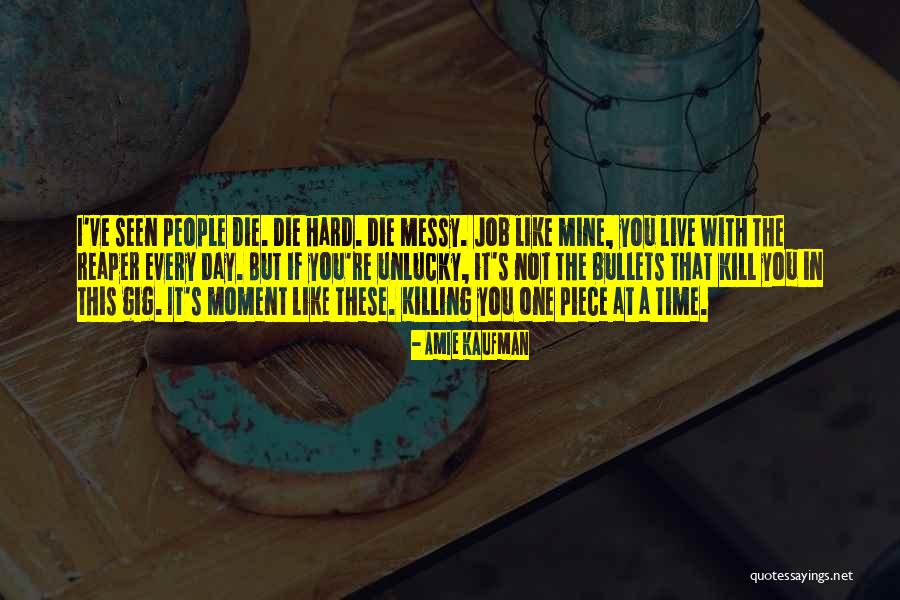 Hamermesh Beauty Quotes By Amie Kaufman Hamermesh Beauty Quotes By Amie Kaufman