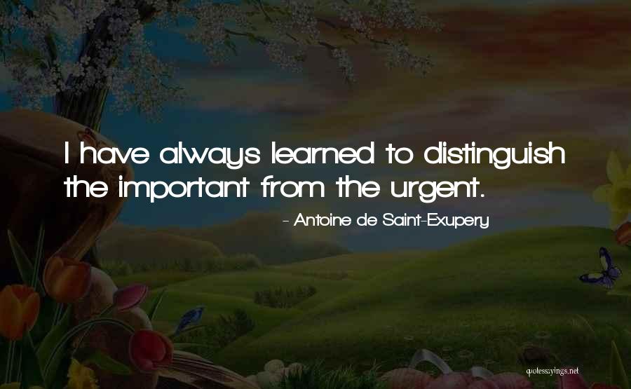 Hamersley Chicken Quotes By Antoine De Saint-Exupery Hamersley Chicken Quotes By Antoine De Saint-Exupery