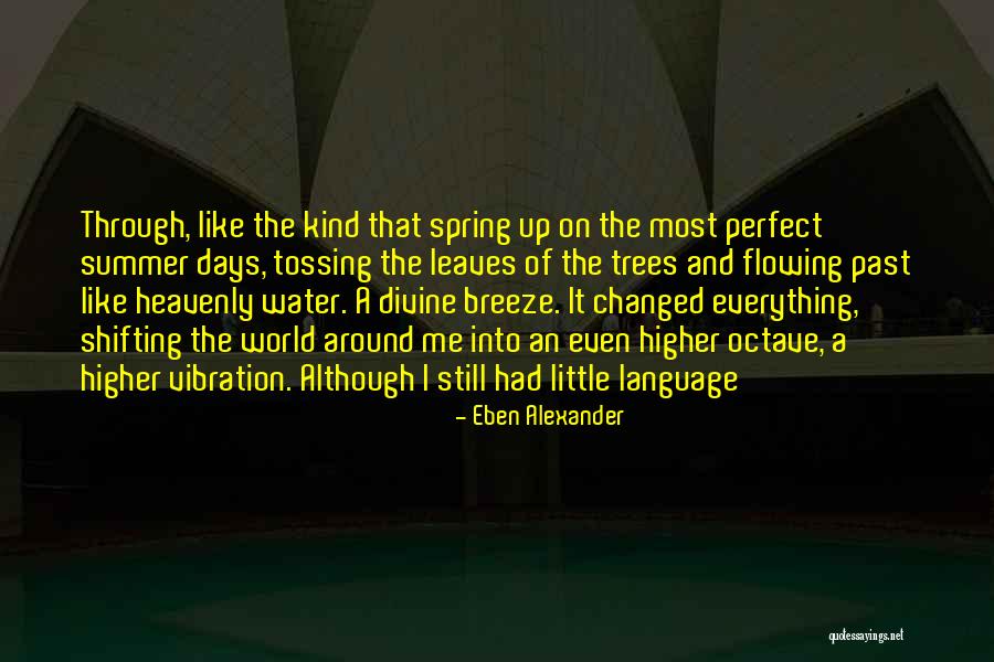 Hamersley Chicken Quotes By Eben Alexander Hamersley Chicken Quotes By Eben Alexander