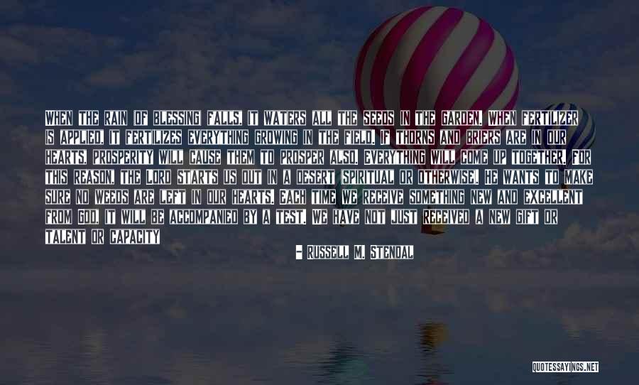 Hamidou Msaidie Quotes By Russell M. Stendal Hamidou Msaidie Quotes By Russell M. Stendal