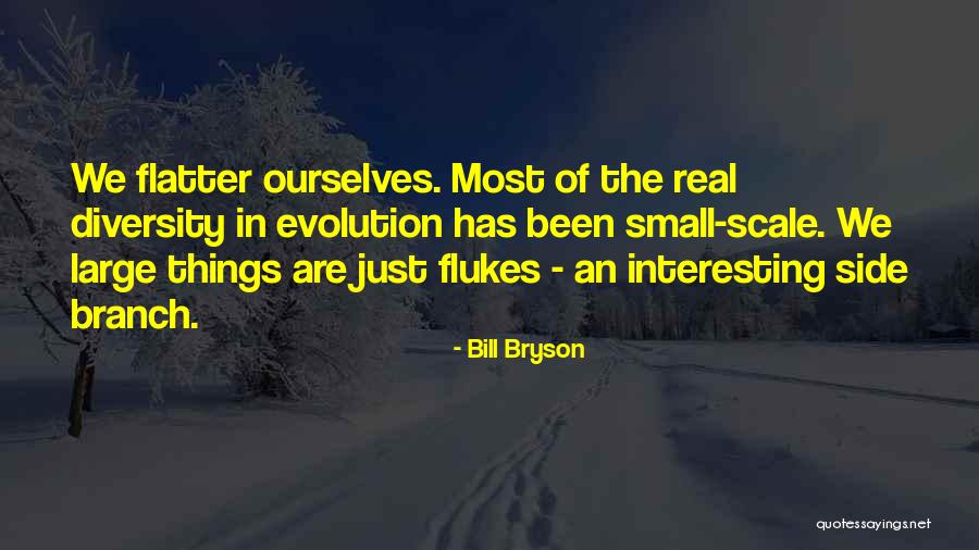 Hamills Funeral Home Quotes By Bill Bryson Hamills Funeral Home Quotes By Bill Bryson