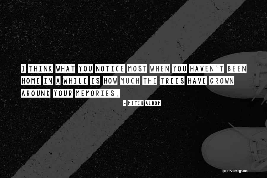 Hamilton Bank Quotes By Mitch Albom Hamilton Bank Quotes By Mitch Albom