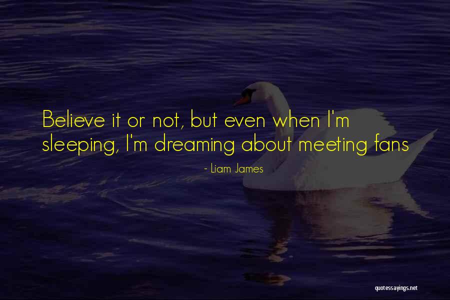Hamine Langer Quotes By Liam James