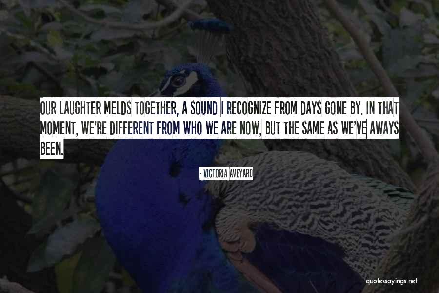 Hamington Quotes By Victoria Aveyard Hamington Quotes By Victoria Aveyard
