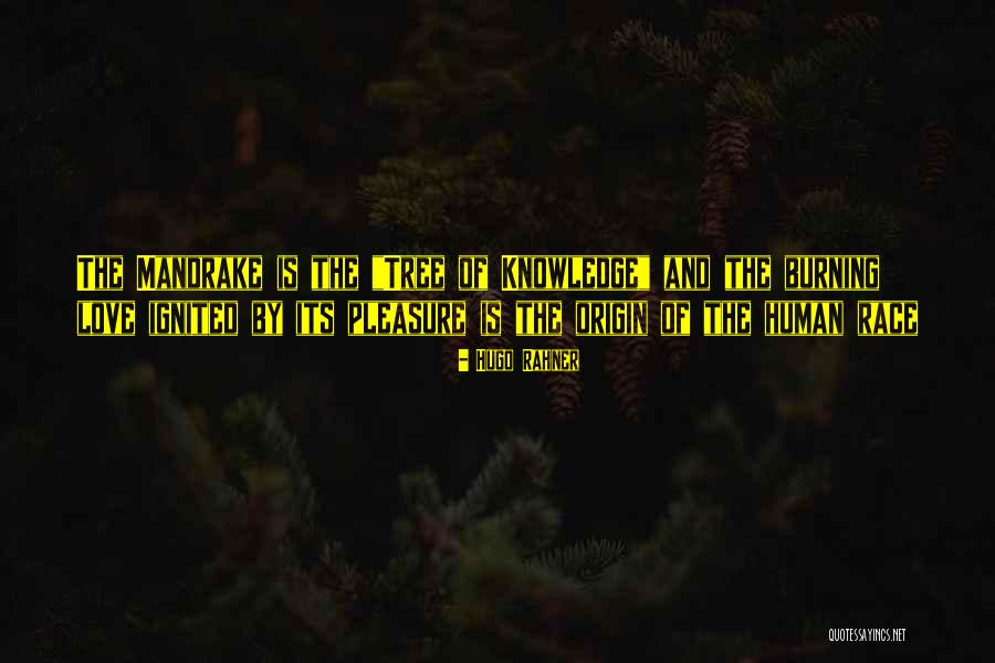 Hamlet And Rejection From Ophelia Quotes By Hugo Rahner Hamlet And Rejection From Ophelia Quotes By Hugo Rahner