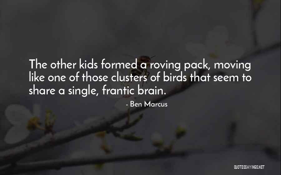 Hamlet's Descent Into Madness Quotes By Ben Marcus Hamlet's Descent Into Madness Quotes By Ben Marcus