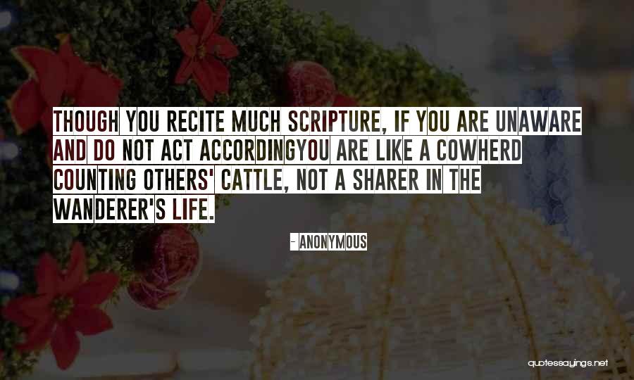 Hamline Law Quotes By Anonymous Hamline Law Quotes By Anonymous