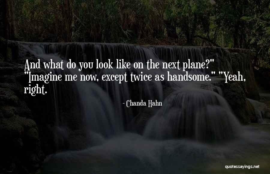 Hamlingrovesdentalcare Quotes By Chanda Hahn Hamlingrovesdentalcare Quotes By Chanda Hahn