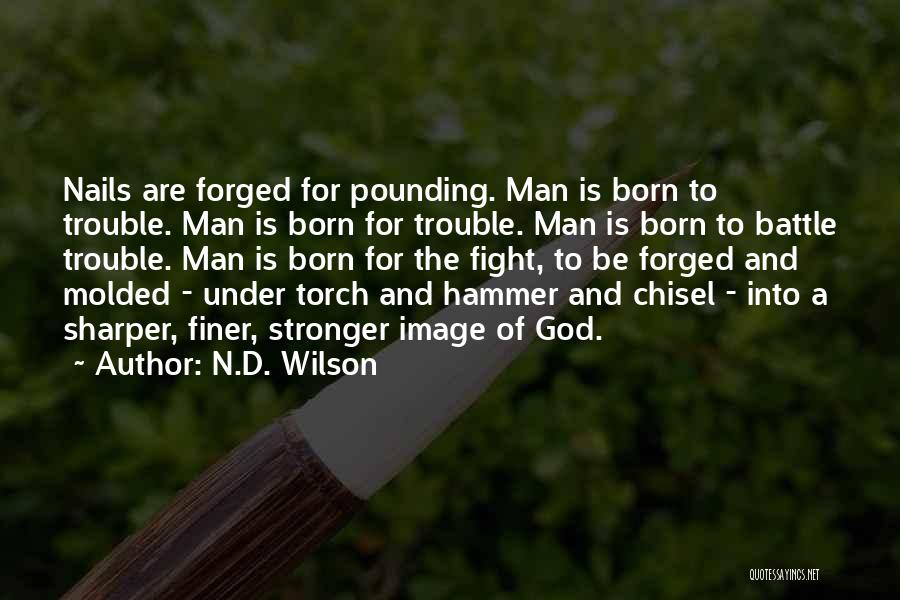 Hammer & Chisel Quotes By N.D. Wilson