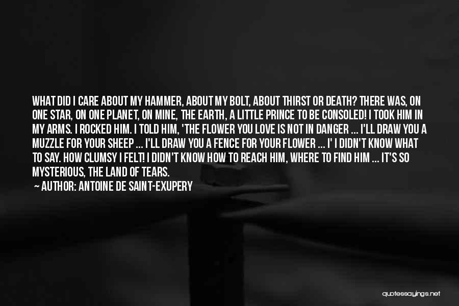 Hammer Love Quotes By Antoine De Saint-Exupery