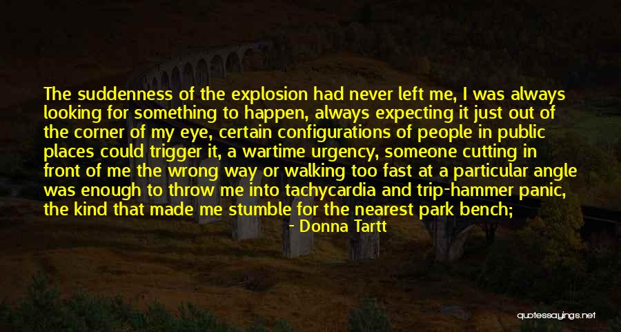 Hammer Throw Quotes By Donna Tartt Hammer Throw Quotes By Donna Tartt