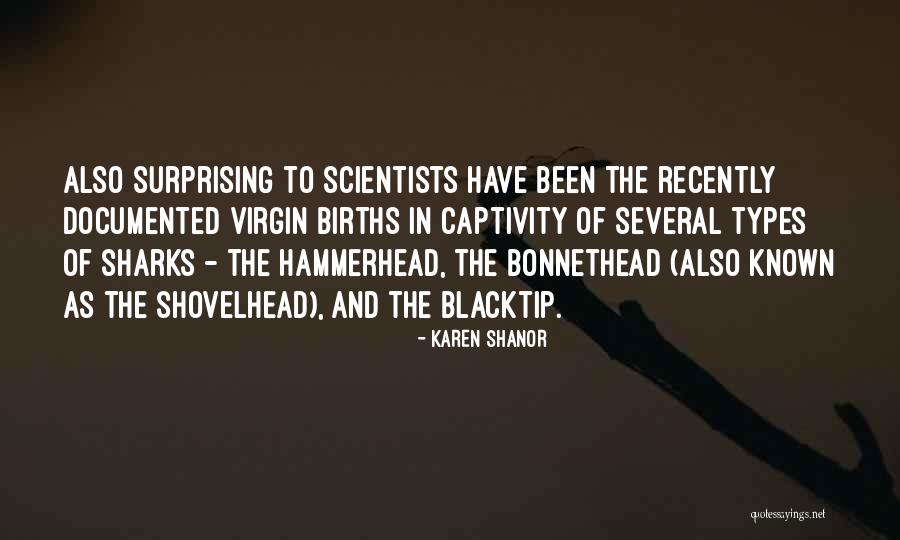 Hammerhead Sharks Quotes By Karen Shanor Hammerhead Sharks Quotes By Karen Shanor