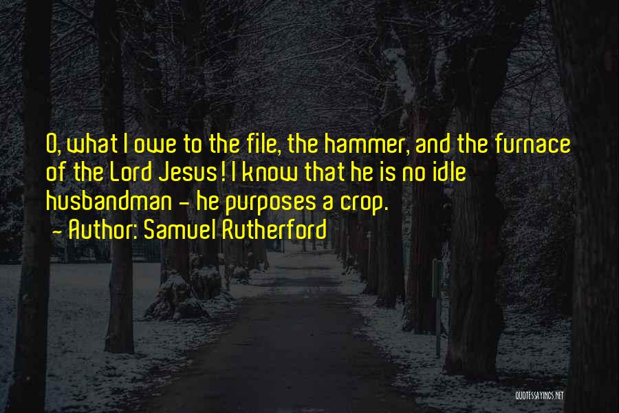 Hammers Quotes By Samuel Rutherford