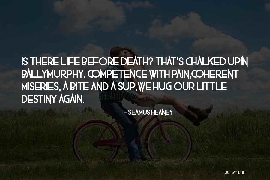 Hammerson Chat Quotes By Seamus Heaney Hammerson Chat Quotes By Seamus Heaney