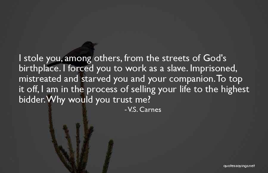 Hammesfahr Petra Quotes By V.S. Carnes Hammesfahr Petra Quotes By V.S. Carnes