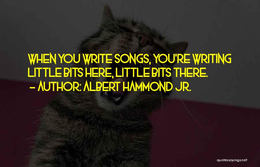 Hammond Quotes By Albert Hammond Jr.