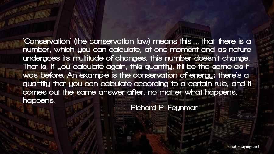 Hamoudi Tumor Quotes By Richard P. Feynman Hamoudi Tumor Quotes By Richard P. Feynman