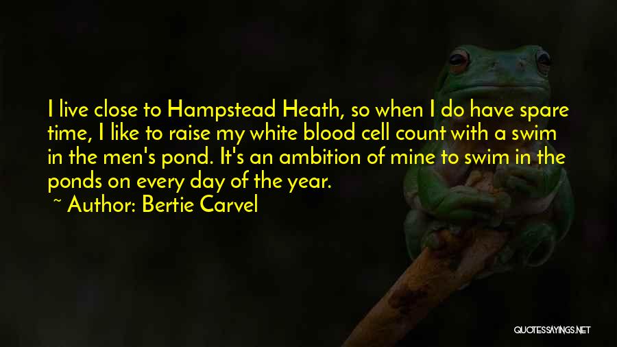 Hampstead Heath Quotes By Bertie Carvel