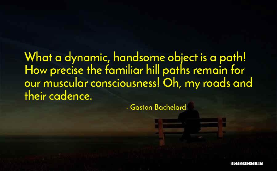 Hamre Web Quotes By Gaston Bachelard Hamre Web Quotes By Gaston Bachelard