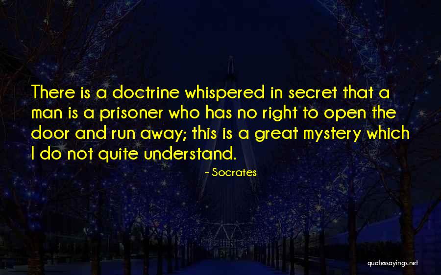 Hamson Boys Quotes By Socrates Hamson Boys Quotes By Socrates