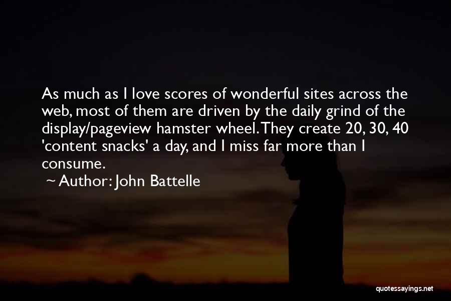 Hamster Wheel Quotes By John Battelle