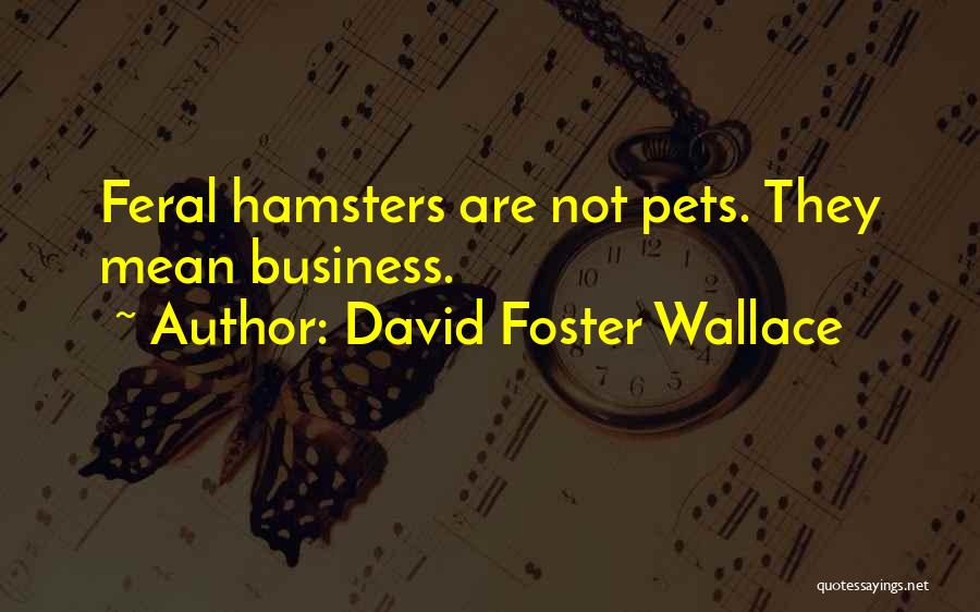 Hamsters Quotes By David Foster Wallace