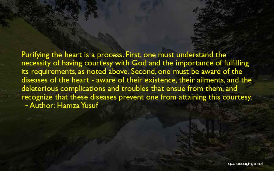 Hamza Yusuf Quotes 611989