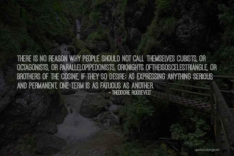 Hamzah Tik Quotes By Theodore Roosevelt Hamzah Tik Quotes By Theodore Roosevelt